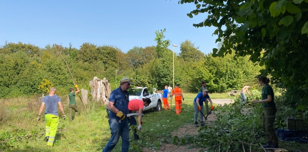 Basingstoke volunteering