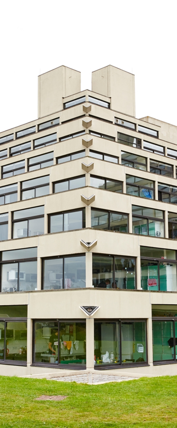 UEA ZIGURATS PH2_1734 1.jpg