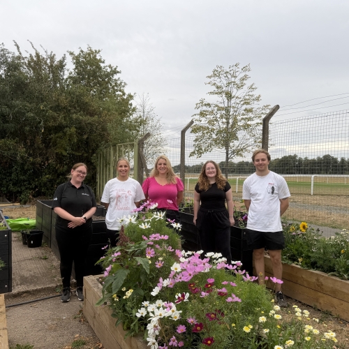 VolkerLaser colleagues at Worcester Community Garden 