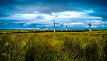 Windfarm placeholder