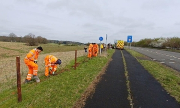 Volunteers planting trees
