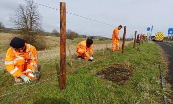 Volunteers planting trees for local school