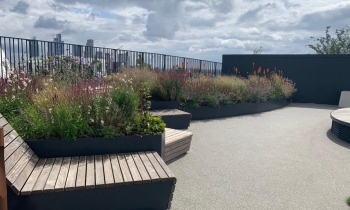 Works to Battersea roof