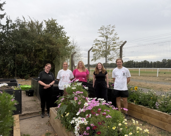VolkerLaser colleagues at Worcester Community Garden 