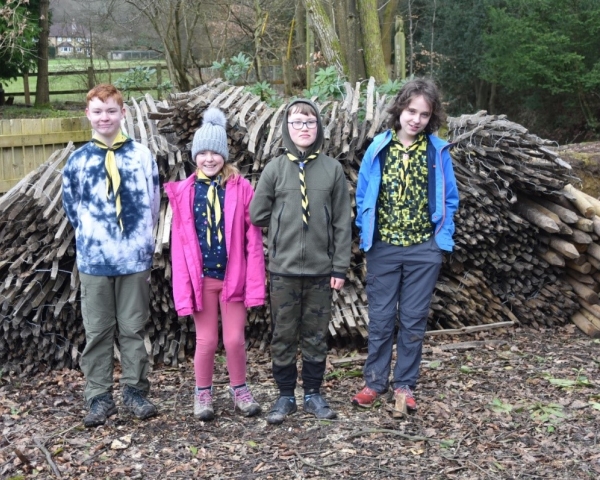 Surrey Scouts.jpg