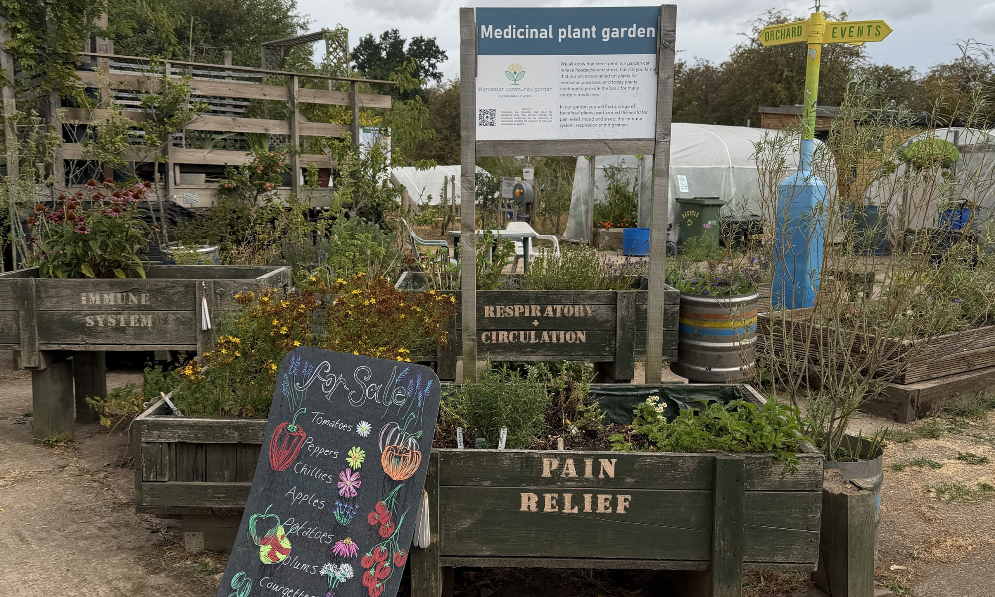 Worcester Community Garden