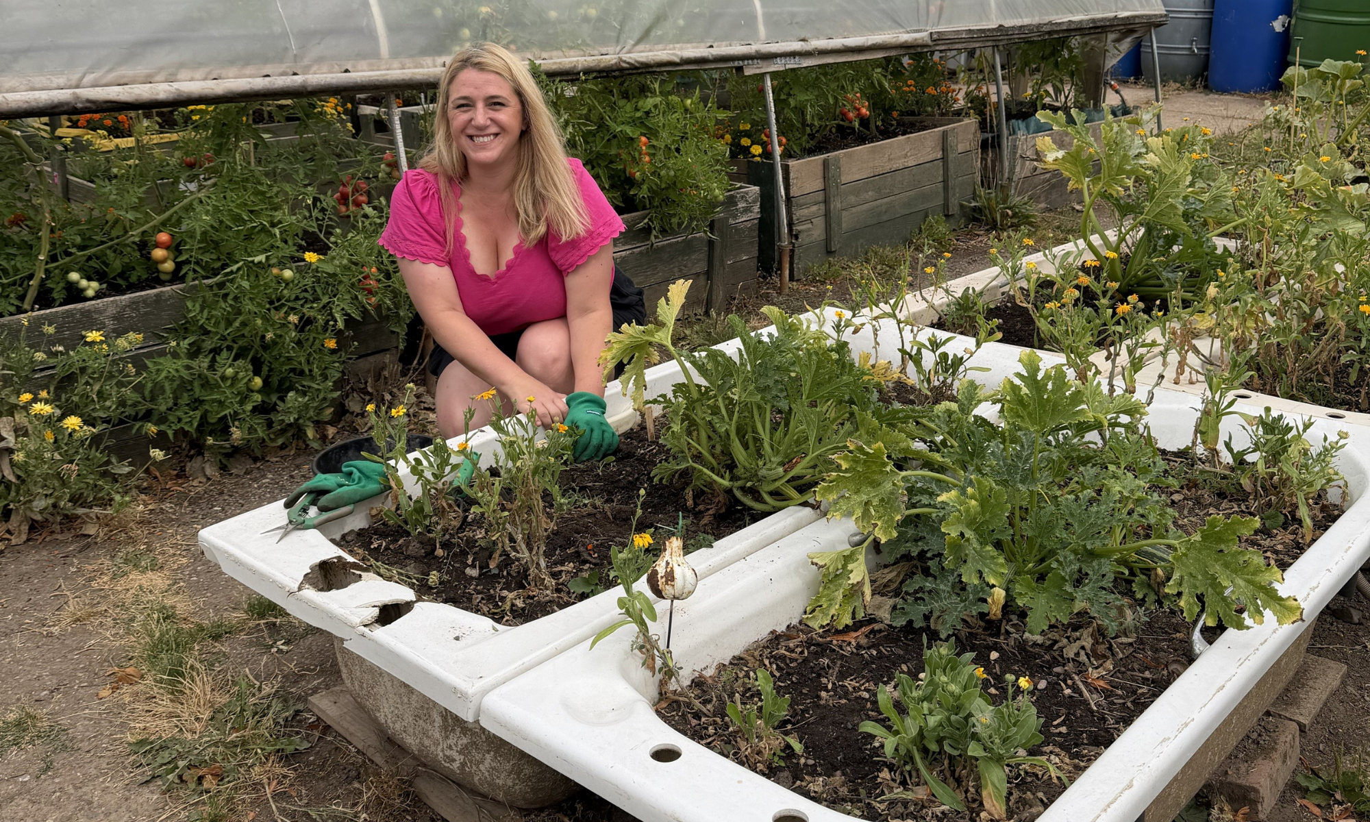 VolkerLaser colleagues at Worcester Community Garden 