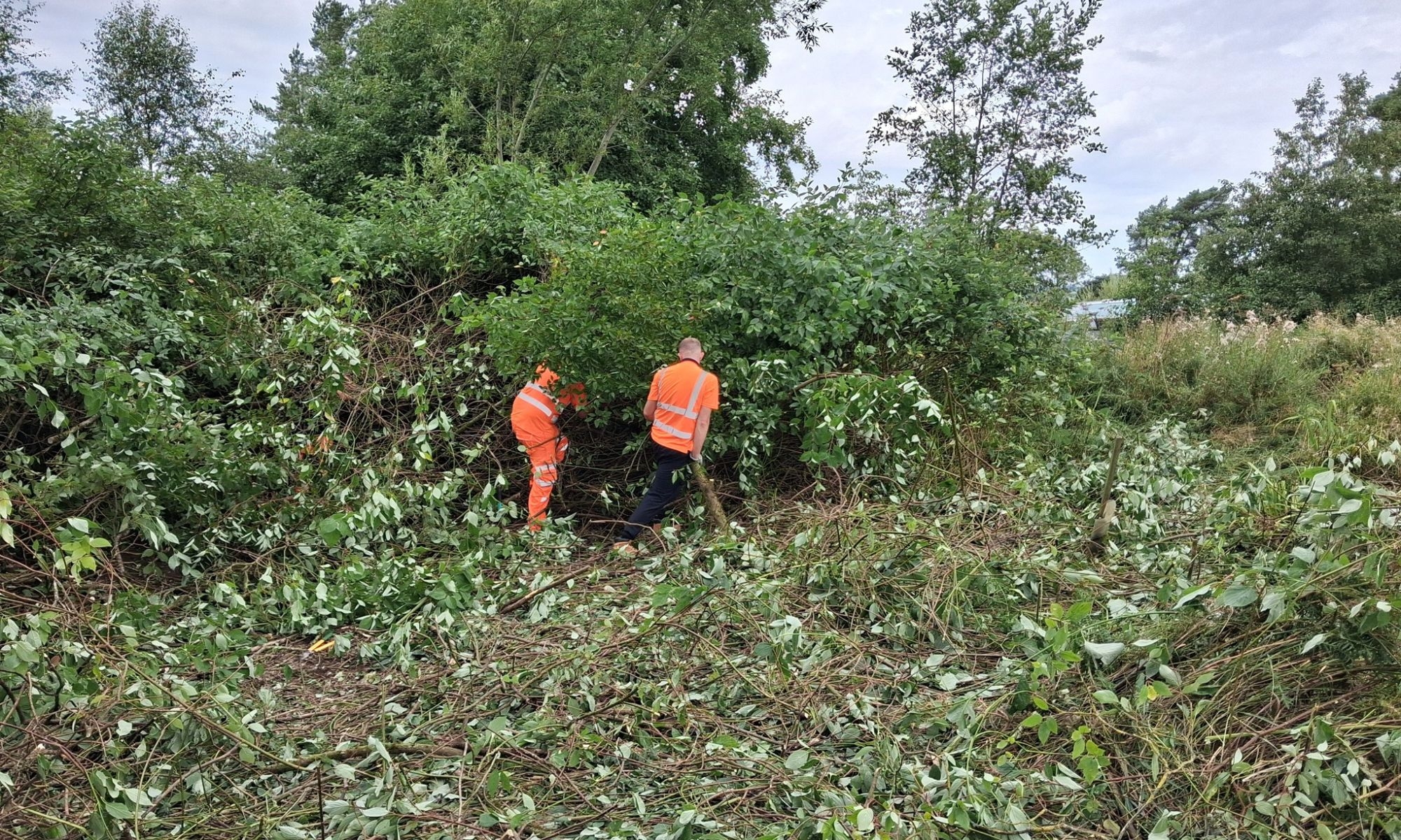 VolkerLaser colleagues volunteering at Community woods and garden in Polbeth and Calder