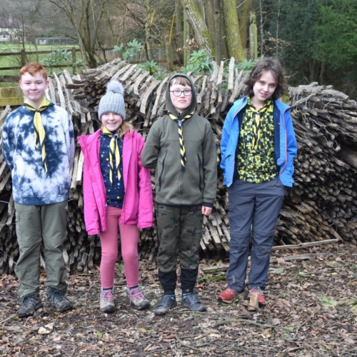 Surrey Scouts.jpg