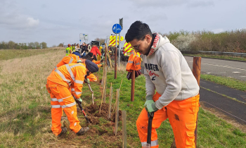 Welford tree planting at local school
