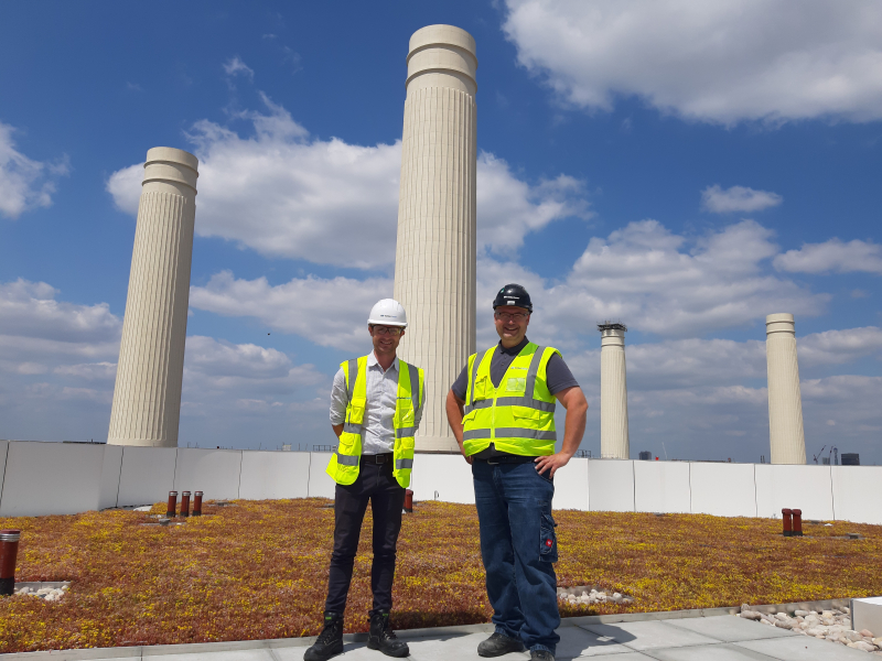 battersea project