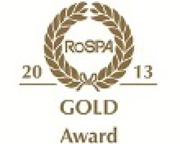 gold award 2013 logo thumbnail 3.jpg