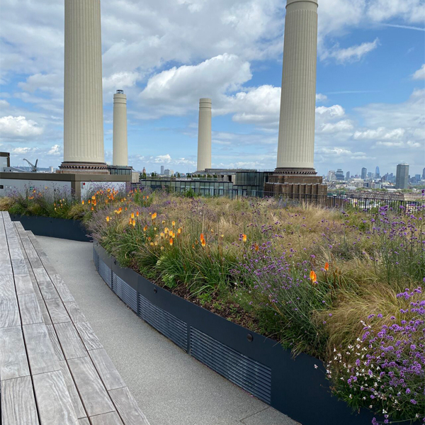 Battersea 22.jpg